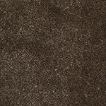 Luxx Velvet Walrus Carpet